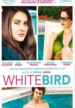 White Bird in a Blizzard