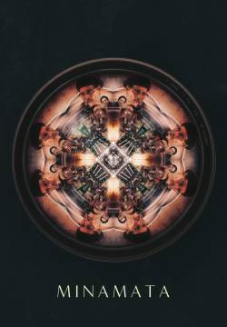 Il caso Minamata