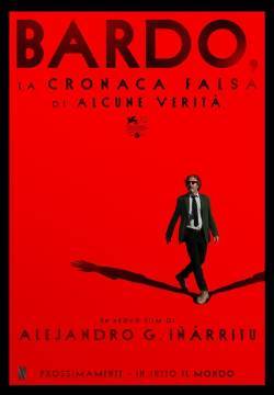 BARDO, la cronaca falsa di alcune verità