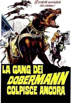 La gang dei doberman colpisce ancora