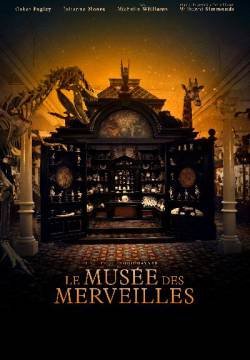 La stanza delle meraviglie