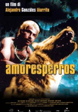 Amores perros