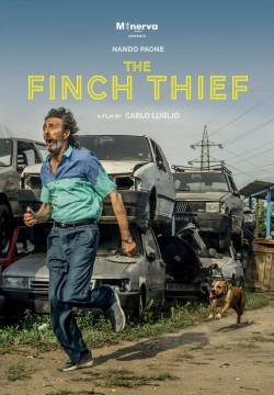 Il Ladro di Cardellini